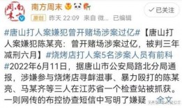 陈晓亮天涯爆料视频大全,揭秘娱乐圈不为人知的秘密
