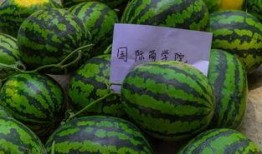 17cgcg吃瓜爆料-免费吃瓜-吃瓜官网,免费畅享热门爆料，尽享吃瓜盛宴！